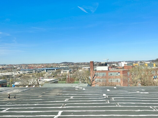Building Photo - Charming 2 BR/1 BA Condo in Barry Farm!