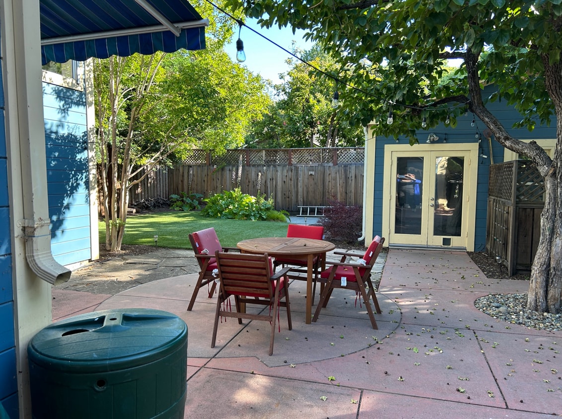 yard - 204 Cowper St