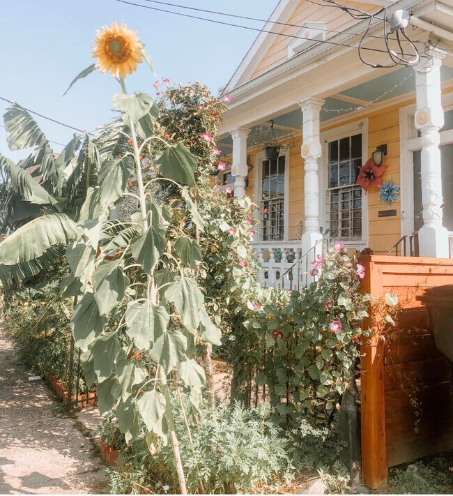 Front garden - 2113 Toledano St