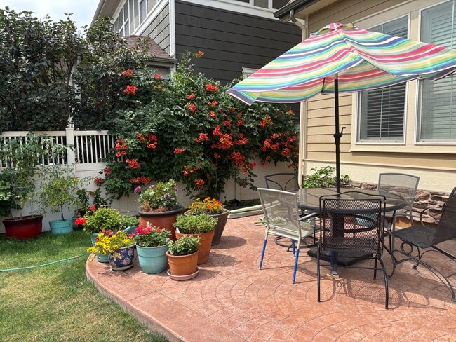 Backyard/Deck - 11666 Osceola St