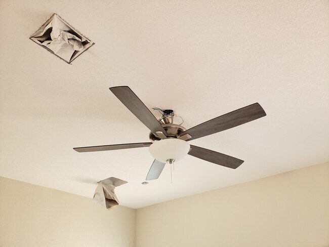 60" Living Room Fan - 1506 Hursh Ave