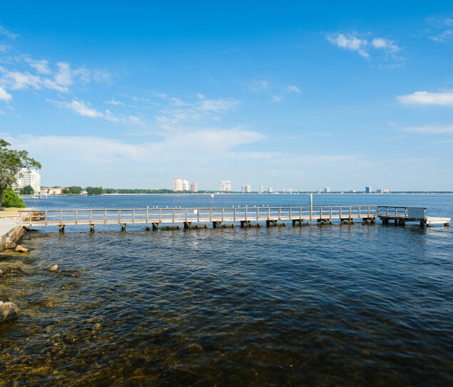 Is Davis Islands a Good Place To Live in Tampa? Neighborhood Guide by