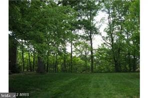 Primary Photo - 3426 Martha Custis Dr