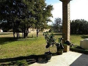 Building Photo - 207 Highland Dr