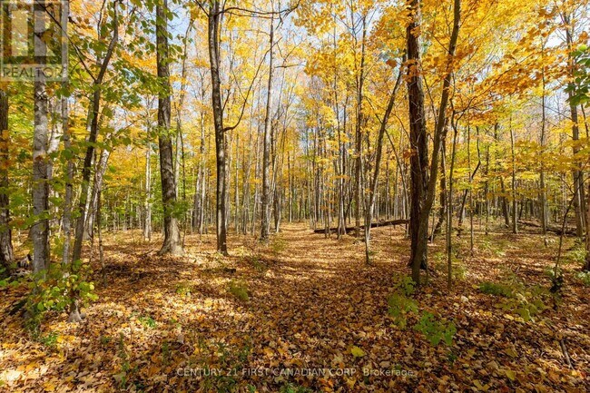 Building Photo - 10771 Melrose Dr