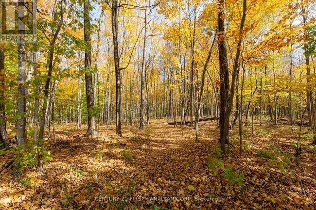 Photo du bâtiment - 10771 Melrose Dr