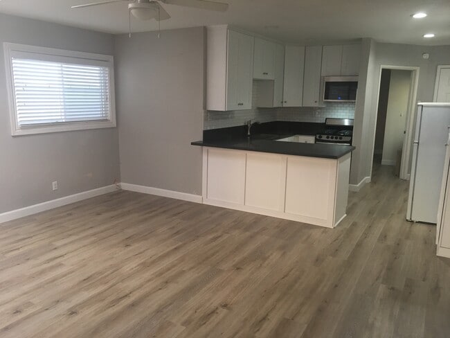 Building Photo - Amazing 1 bedroom unit in San Clemente!