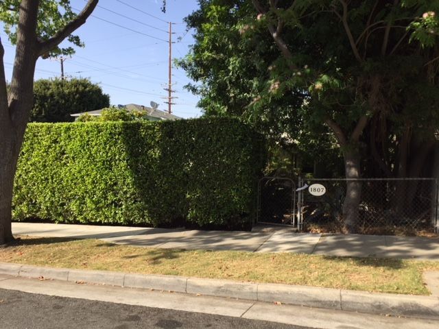 Foto principal - 1807 19th St