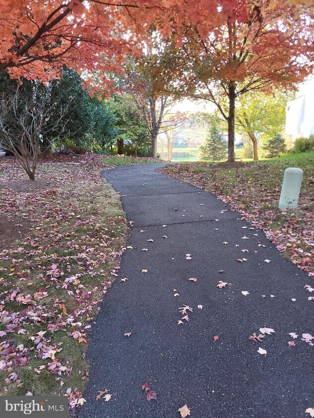 215 Park Gate Dr SE Unit BSMT, Leesburg, VA 20175 Room for Rent in