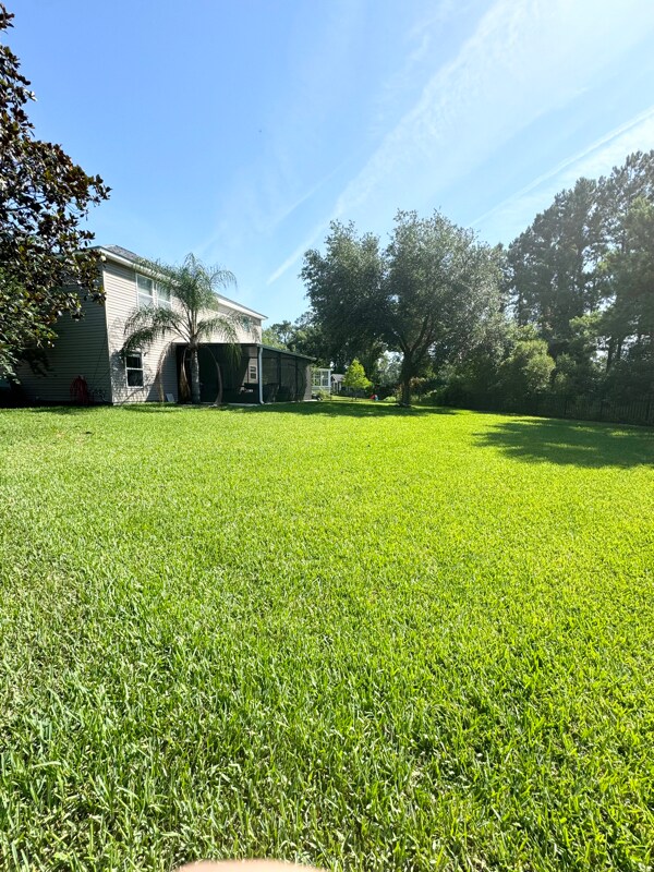 Foto del edificio - 955 Churchhill Ln