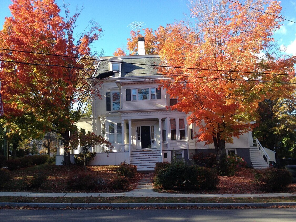 Primary Photo - 229 Miller Ave