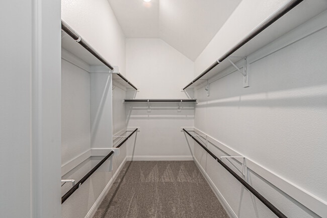 Building Photo - 3231 Tobias Ln