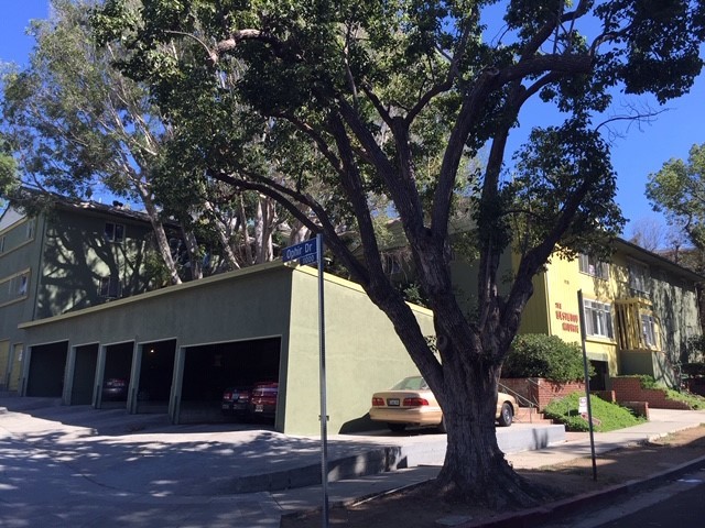 Primary Photo - 504 Midvale Ave