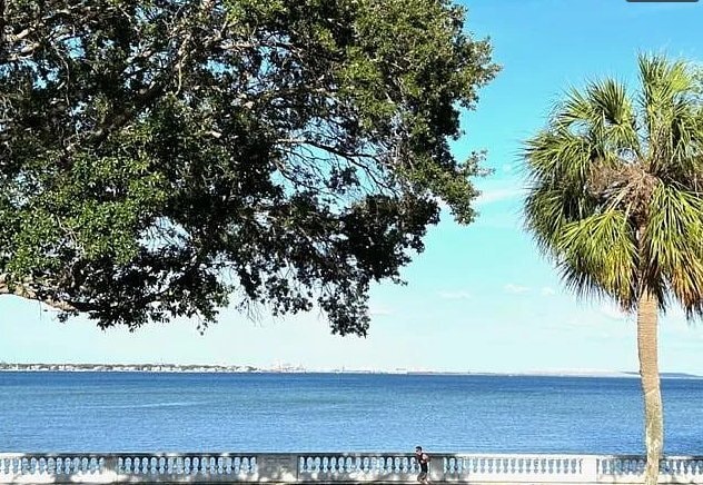 Building Photo - 4015 Bayshore Blvd