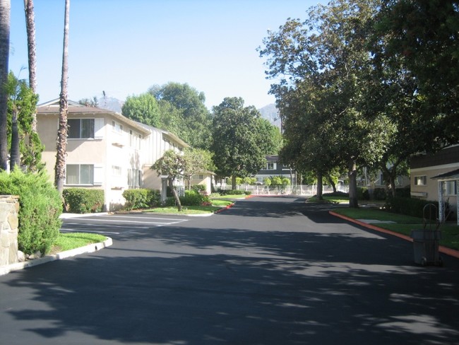 Foto del edificio - Anita Oaks 245 West Colorado BLVD in Arcadia