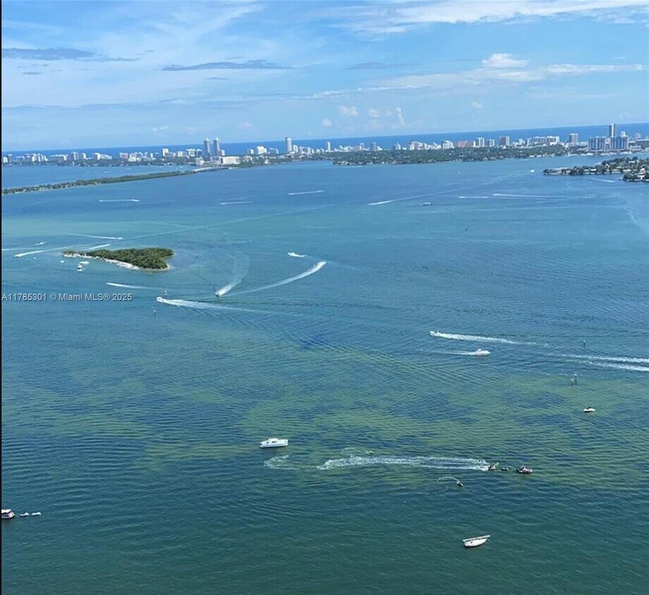 Primary Photo - 1750 N Bayshore Dr