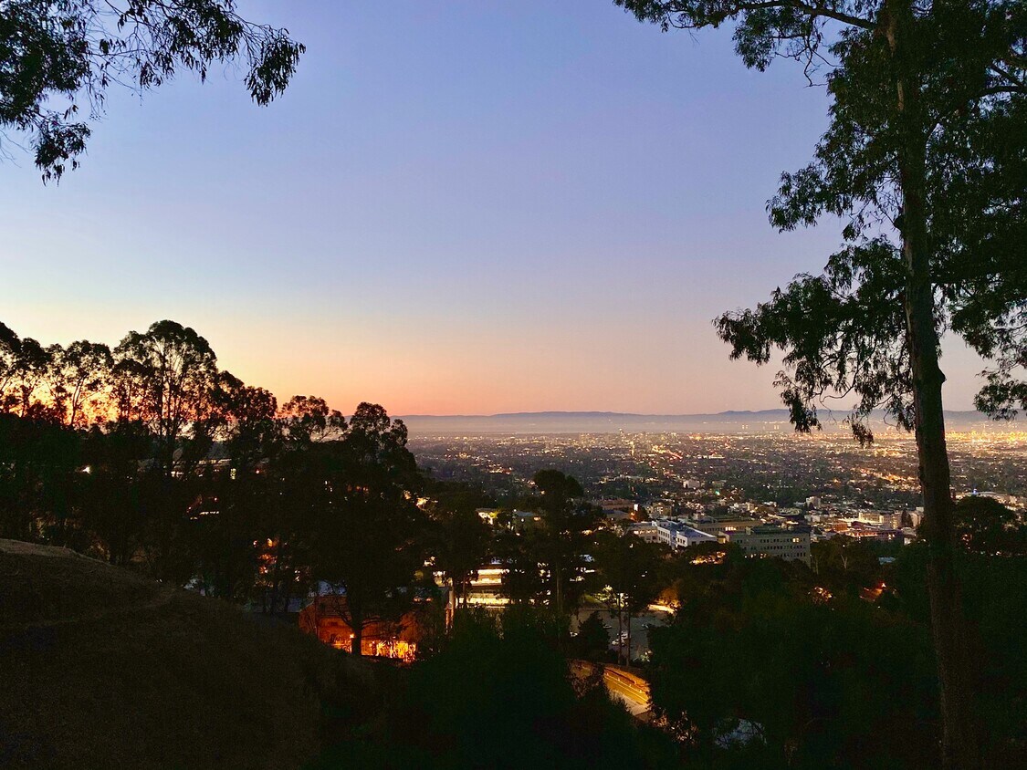 View - 1568 Campus Dr