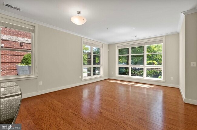 Apartamento en esquina a pie de calle con excelente luz natural. - 815 N Patrick St