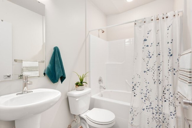 Building Photo - Sol studios