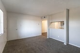 Located at 9030 Betel Dr in El Paso, Texas, this single-floor residence offers a practical and well-organized layout. The living area is carpeted and opens to a pass-through kitchen, creating a connected and functional common space. The kitchen features a galley-style design with gray cabinetry, light countertops, a tile backsplash, white appliances including an electric range and refrigerator, and durable wood-style flooring — providing ample storage and workspace.

Multiple bedrooms are finished with neutral carpet and bright white walls, each featuring windows with blinds that allow natural light while maintaining privacy. One room includes a ceiling fan with a light fixture and wood-style flooring, adding versatility to the space.

The bathrooms are clean and functional, equipped with gray vanity cabinets, speckled countertops, mirrored medicine cabinets, and a tiled shower-tub combination with chrome fixtures. Textured ceilings are consistent throughout the home, contributing to its classic character. The overall layout, as visible in the 3D model, is efficient and well-proportioned, making this a straightforward and comfortable single-level residence in El Paso's 79907 area.