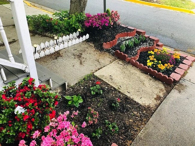 Foto del edificio - 18904 Snow Fields Cir