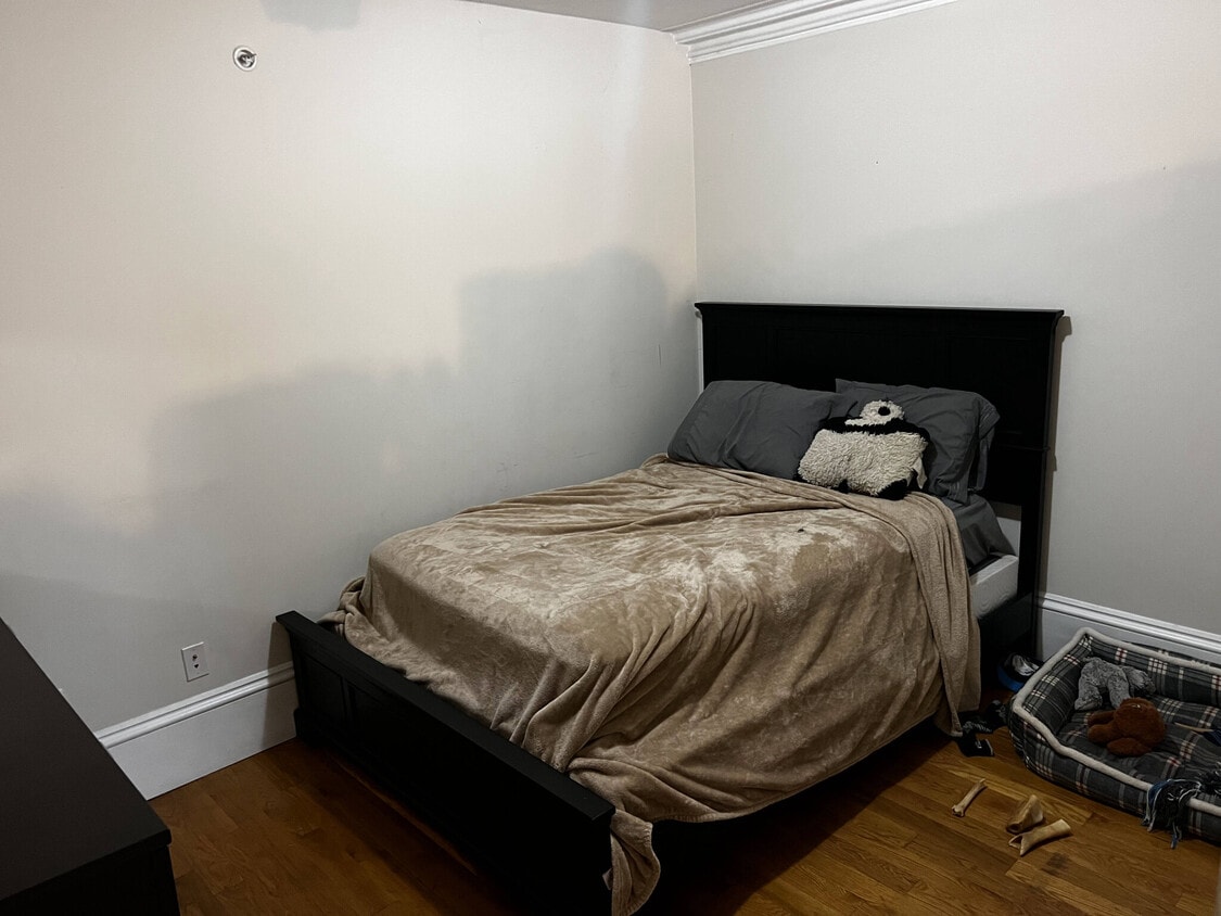 Building Photo - 691 Massachusetts Ave