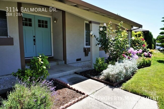 Building Photo - Beautifully Remodeled Berryessa Home!