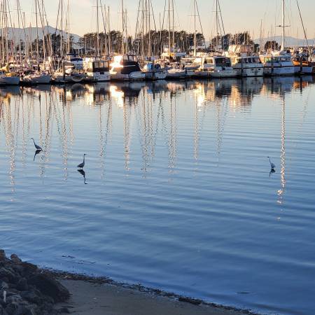 Foto del edificio - 5 Admiral Dr