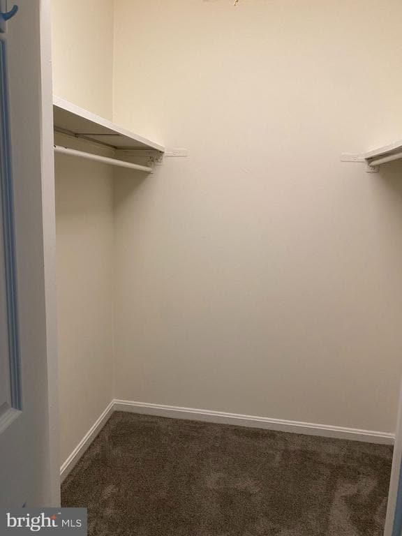 Foto principal - 9621 Hagel Cir