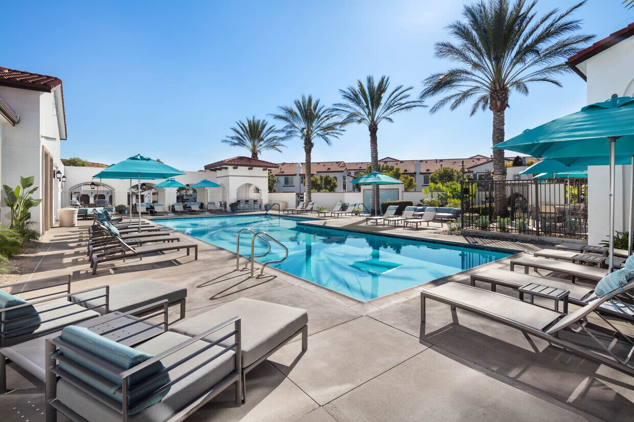 Foto principal - The Enclave at Homecoming Terra Vista