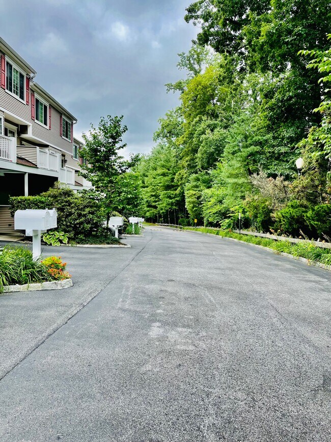 Building Photo - 310 Park Ridge Ln