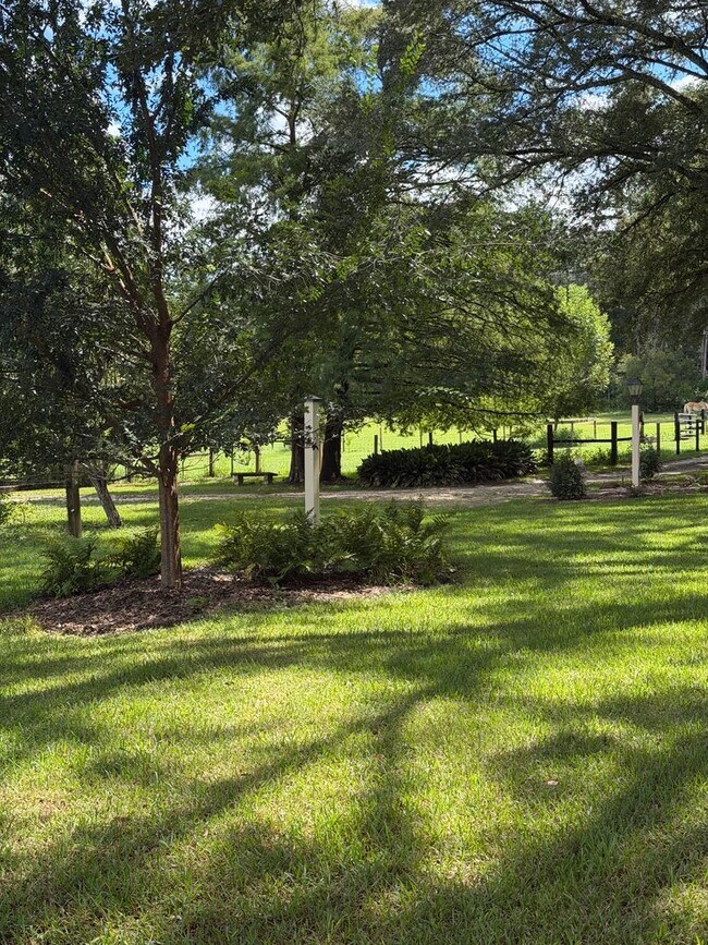 Foto del edificio - 8509 Little Scenic Ln