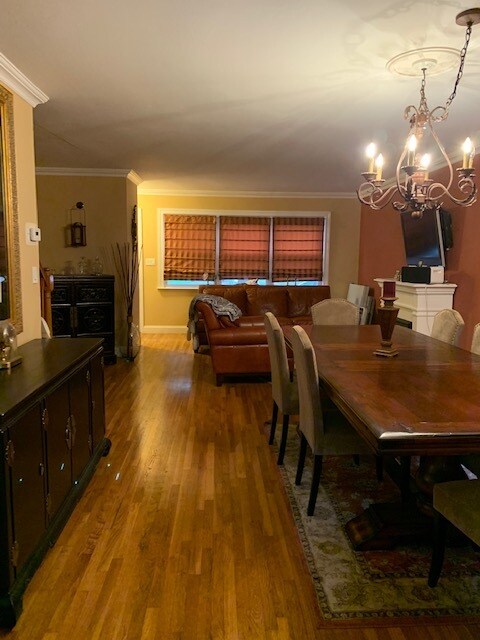 Spacious Living Room and Dining Room - 58 Hitchcock Ave