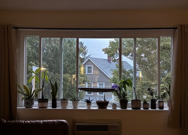 Foto del edificio - 2089 Dorchester Ave
