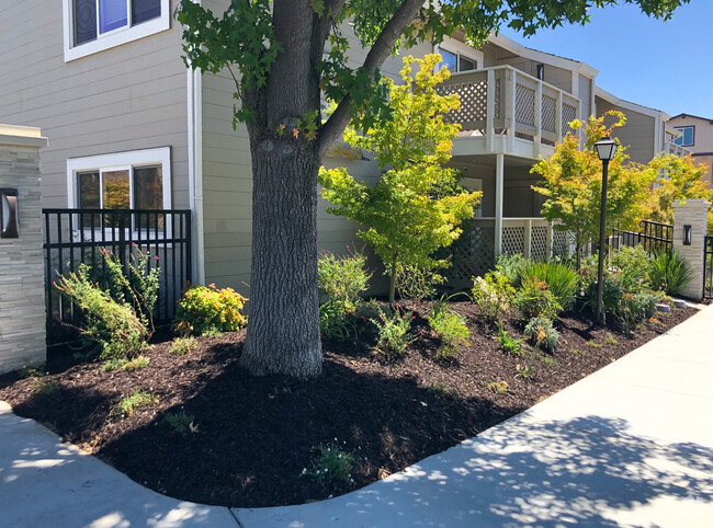 Building Photo - Cypress Pointe Apartments