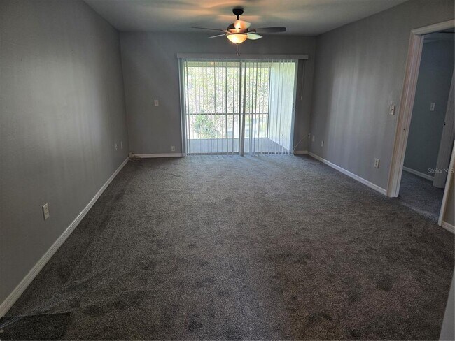 Foto del edificio - 10342 Carrollwood Ln