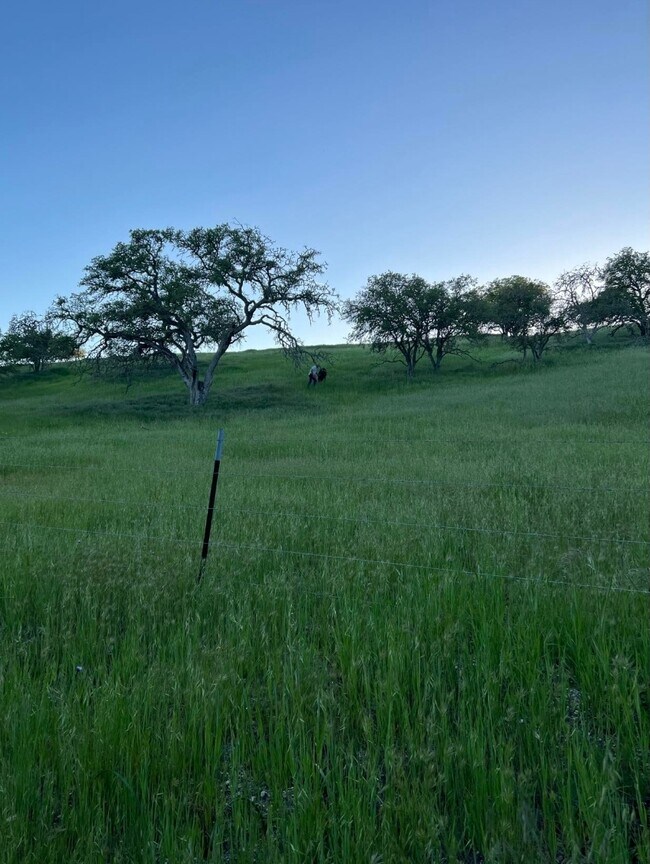 Building Photo - 6855 Ranchita Oaks Pl