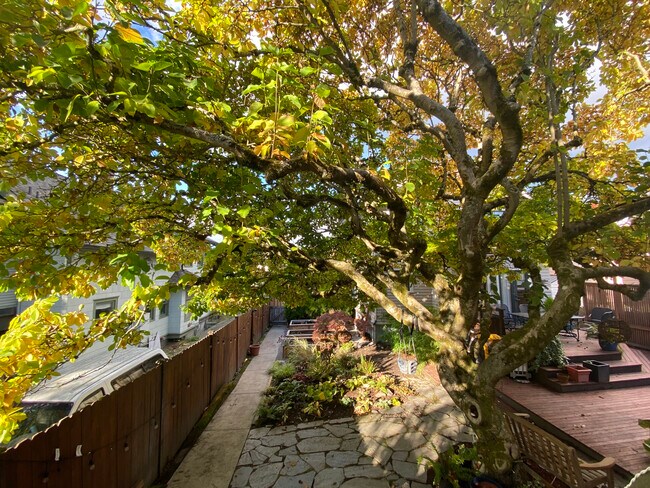 Entrada oculta a la parte trasera de la casa. - 1637 N 53rd St