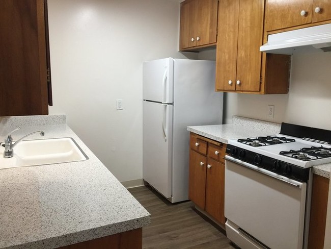 Building Photo - Large one bedroom apartment available!