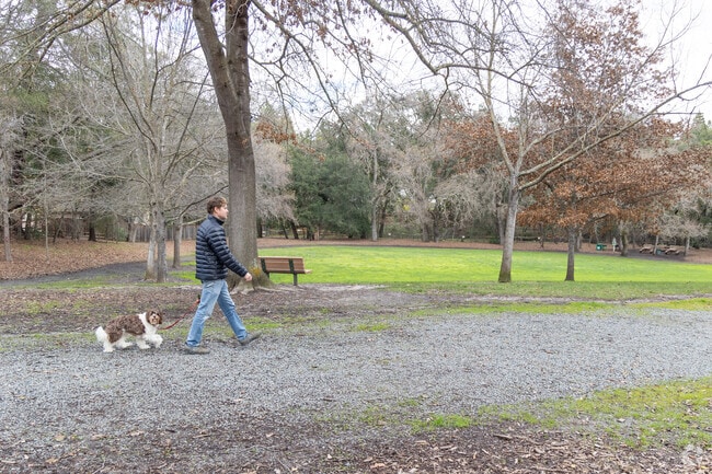 People and their pups love Brookwood Park for a stroll.