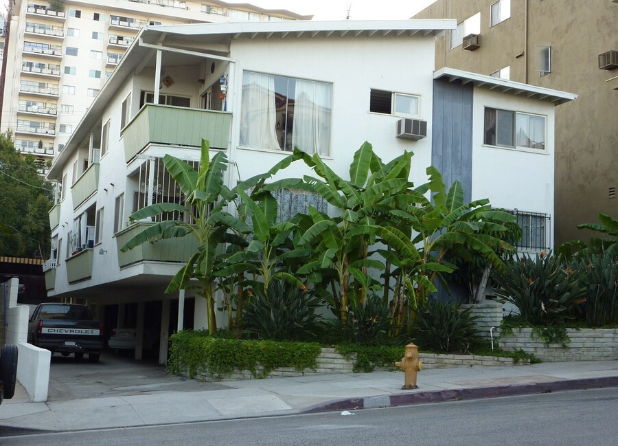 Building Photo - Hacienda De La Fuente