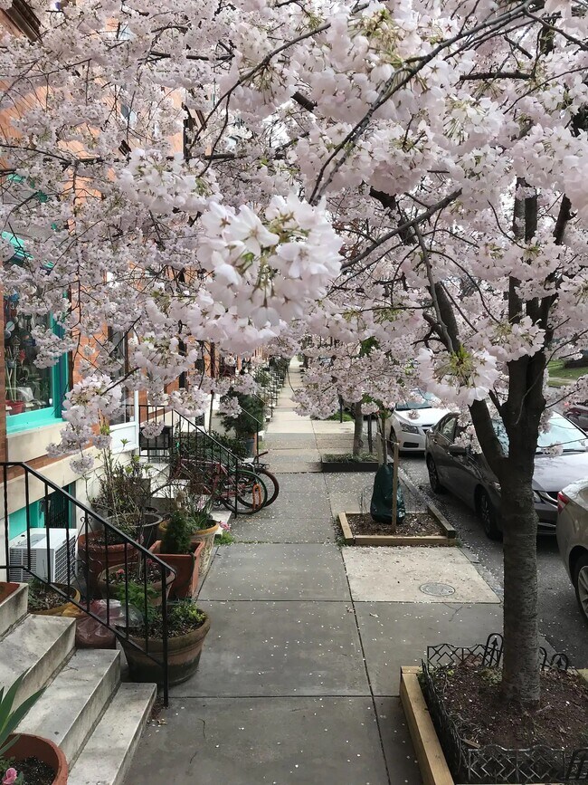 Photo - 31 S Linwood Ave Townhome