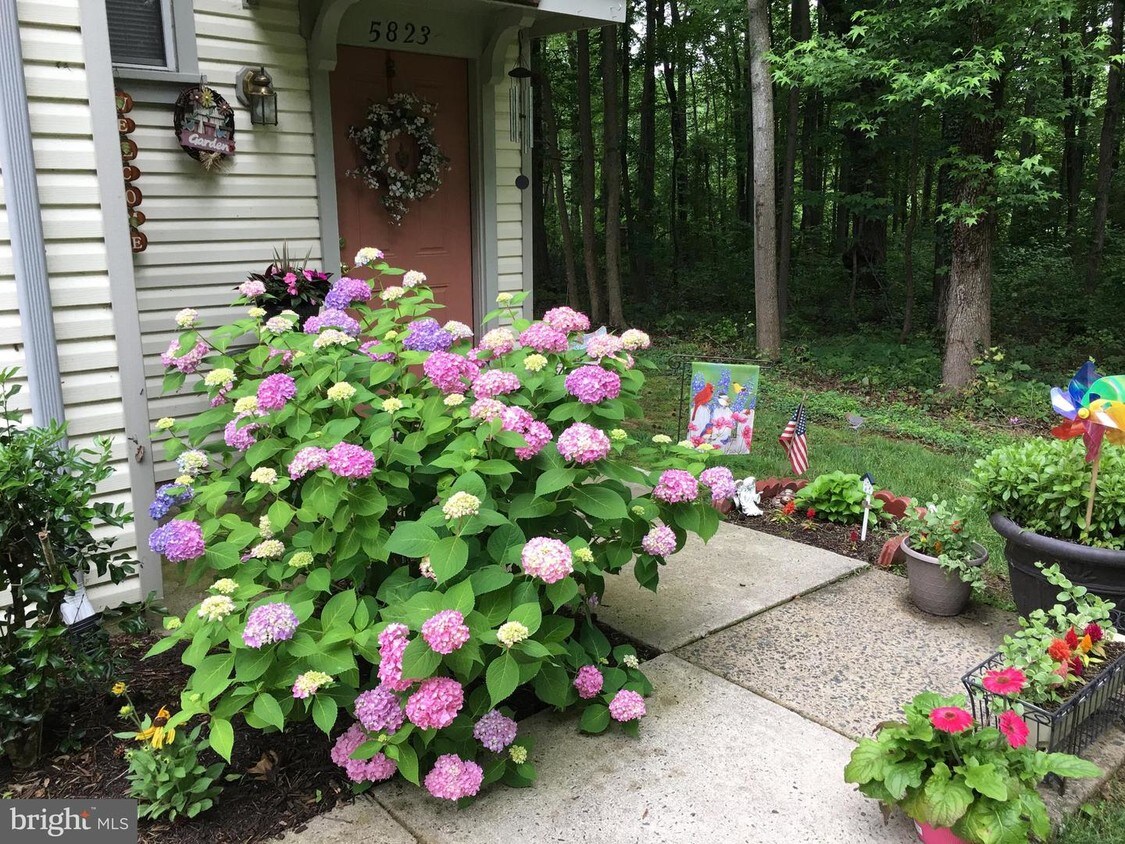 5823 Orchard Hill Ct, Clifton, VA 20124 Condo for Rent in Clifton, VA