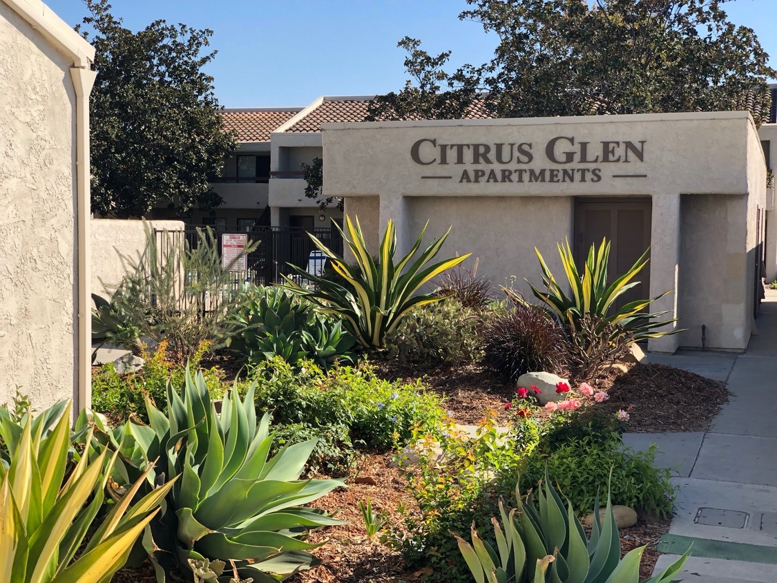 Citrus Glen Apartments Photo