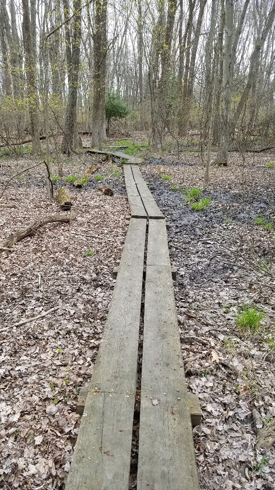 nature trails down the road - 1 County Rd