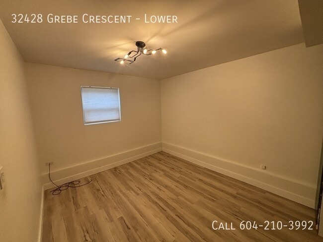 Building Photo - Basement with Backyard