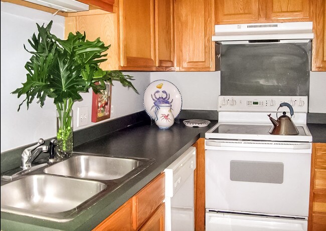 Foto del edificio - Downtown Charleston Duplex!