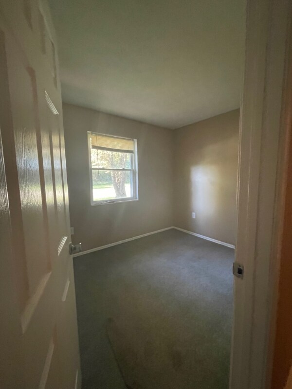 Foto del edificio - 3709 Ripple Creek Dr
