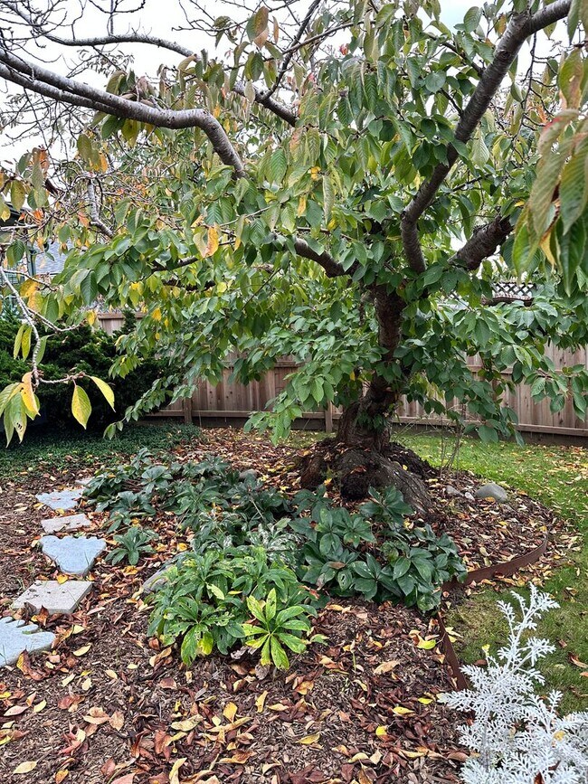 Foto del edificio - 2 Bedroom/ 1 Bath House in Eureka, Single car Garage with Washer & Dryer included!!