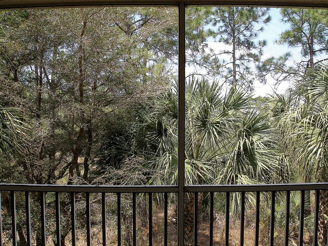 view from balcony - 12870 Carrington Cir